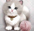 Sweet Kitty with Ball of Yarn